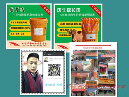 4、 Anglo-Meier 肉牛專用預(yù)混料：什么飼料對牛有益