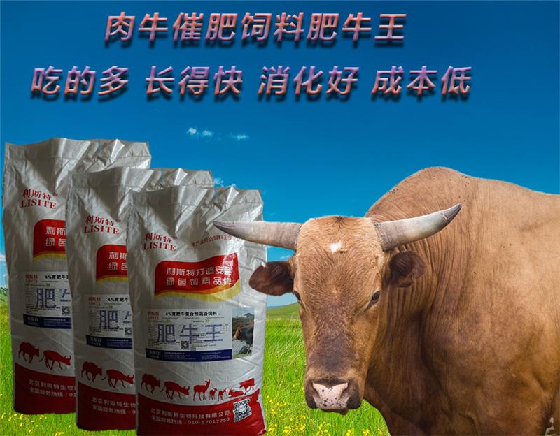 2．肉牛預混料供應商：什么是肉牛預混料？品牌好