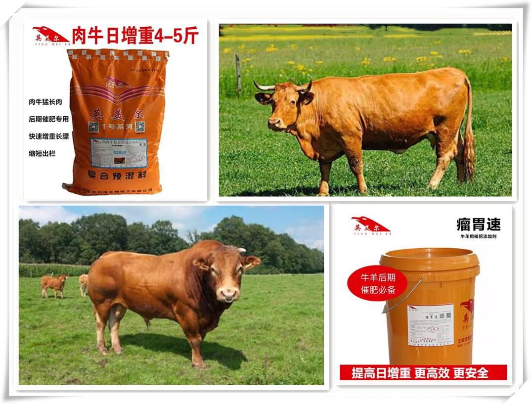 4、中國最好的牛羊飼料是哪家