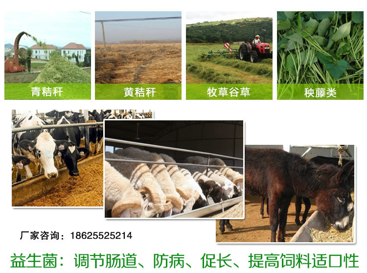 4、中國(guó)十大名牌牛飼料