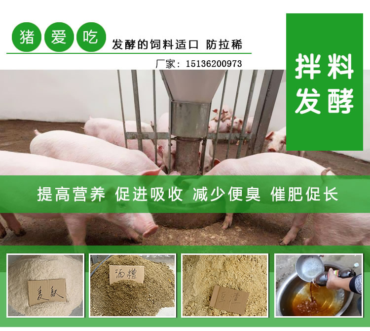 2、豬飼料可以喂牛嗎？