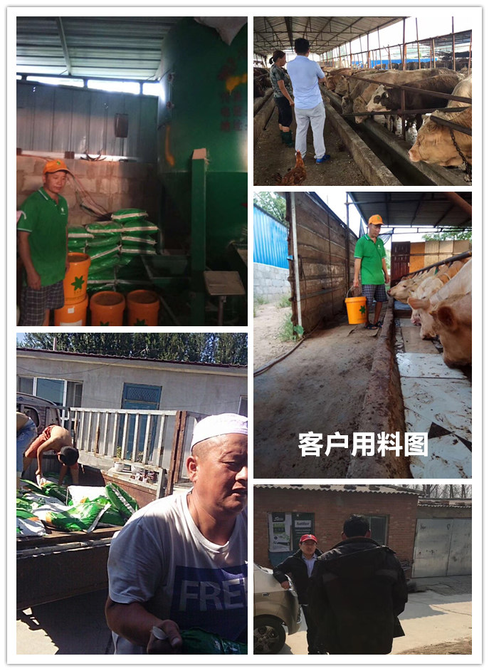  1、 大約公斤牛的育肥方法？如何混合飼料。喂多少干草和喂多少精料。你用什么喂?jié)饪s物？ 