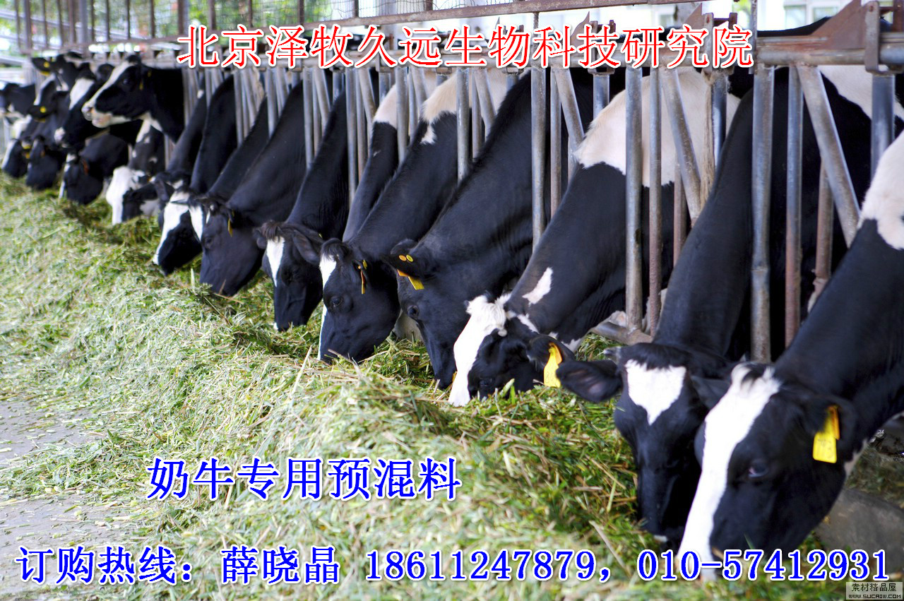 2、奶牛飼料廠有哪些？