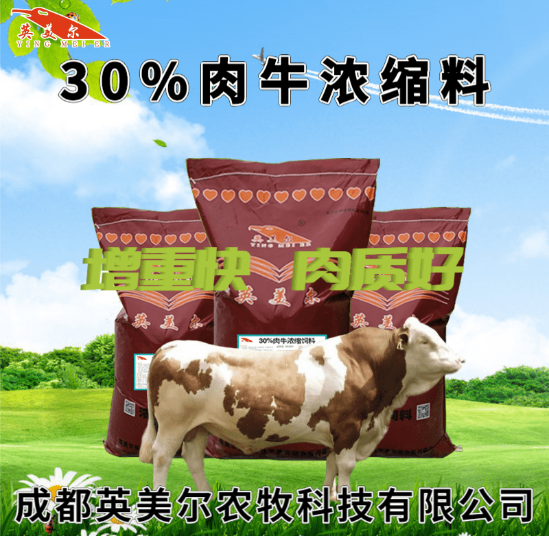 2、養(yǎng)牛用什么飼料好？育肥牛飼料清單
