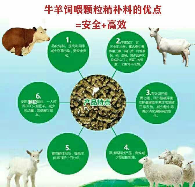 二、維生素、微量元素―――添加劑預(yù)混料
